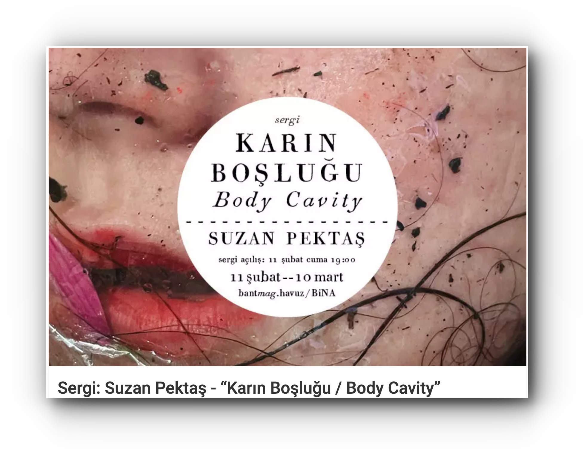 Solo exhibition at bantmag.havuz : Karın Boşluğu / Body Cavity